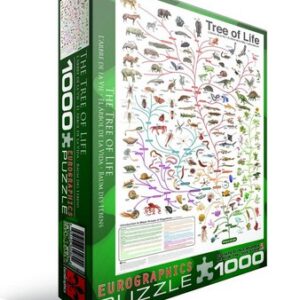 puzzle evolution arbre vie