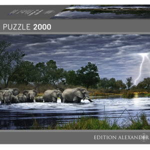 Troupeau d'Elephants (Alexander von Humboldt)